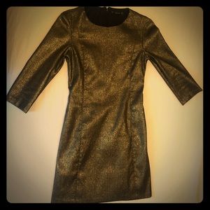 Zara Trafaluc | Metallic Gold A-Line Dress